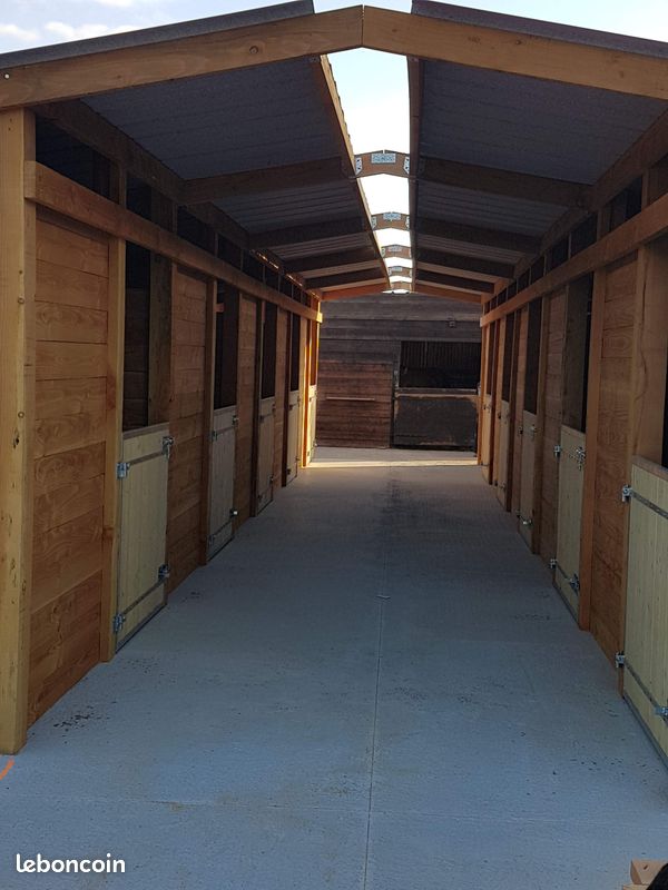 découvrez comment trouver un box pour chevaux pas cher grâce à nos astuces et conseils pratiques pour économiser tout en offrant un bon espace à votre cheval.